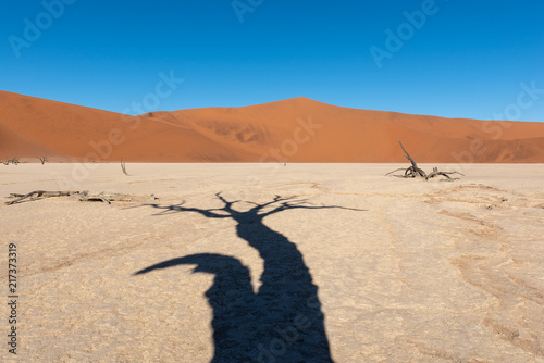 Tree shadow on white clay pan with red sand dunes in the background  deadvlei  Sossusvlei  Namib Naukluft National Park Namibia