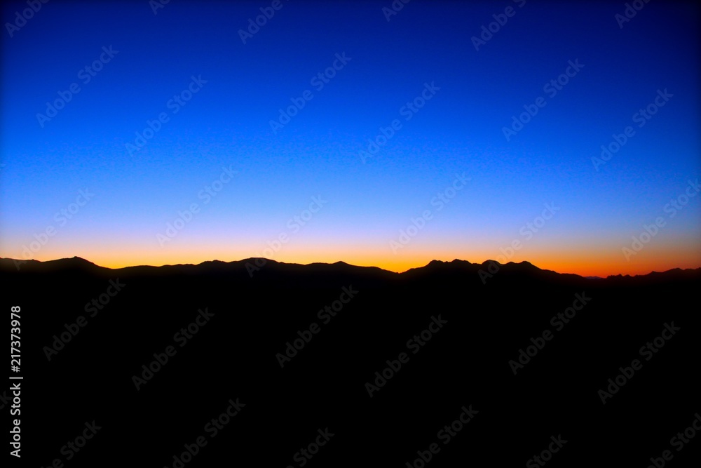 Fototapeta premium Joshua Tree Desert Horizon Sunset
