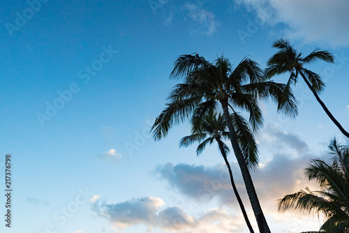                                      Waikiki Beach Sunset 