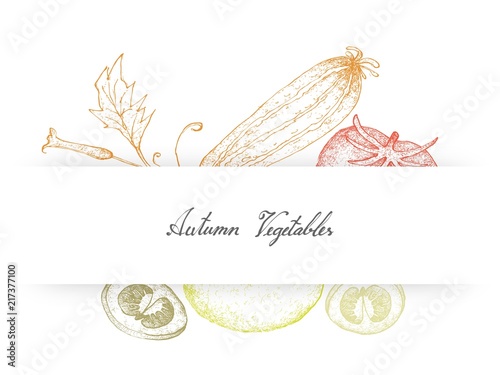 Hand Drawn of Autumn Vegetables, Tomatoes and Zucchini