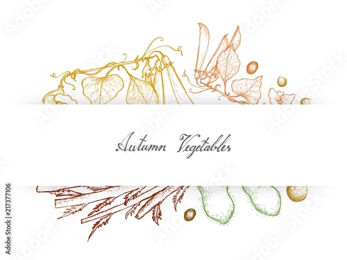 Hand Drawn Autumn Vegetables of Green Peas, Soybeans and Celeriac