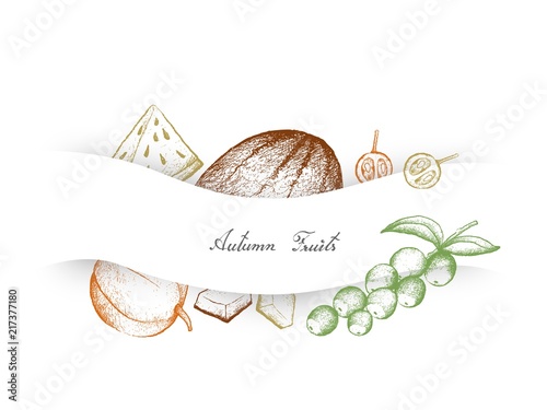 Hand Drawn Autumn Fruits of Camu Camu, Muskmelon and Watermelon