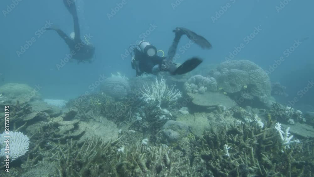 An underwater shot of divers researching on coral reefs. An underwater shot of divers researching on coral reefs.