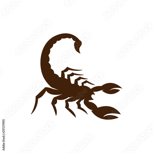 Scorpion logo icon vector
