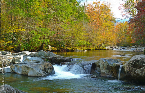 Scenic stream surrounded with colored leaves in the Smoky Mountains.