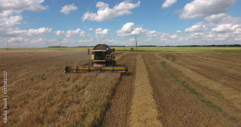 aerial flight over combine harvester gathers wheat crop in the field aerial flight over combine harvester gathers wheat crop in the field