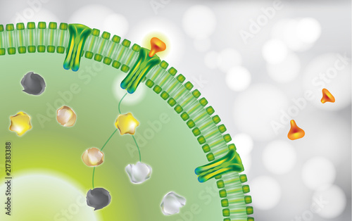 antibody blocking cell receptor on white grey background