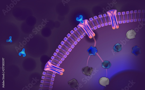 cross section of a cell with antibody attaching to receptor and causing an internal reaction  on dark purple  background