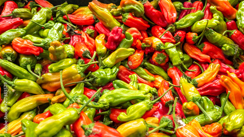 Many Size and Color Pepper in a Pile