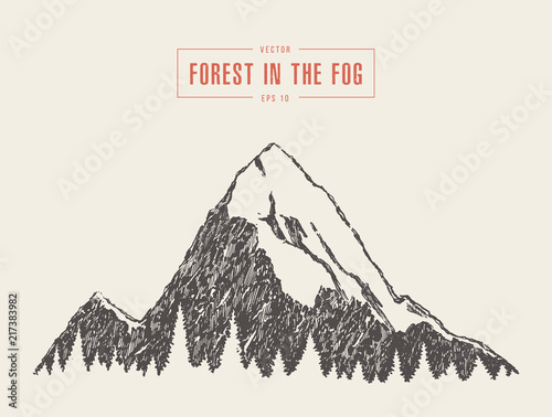 Vector mountain peak pine forest style drawn