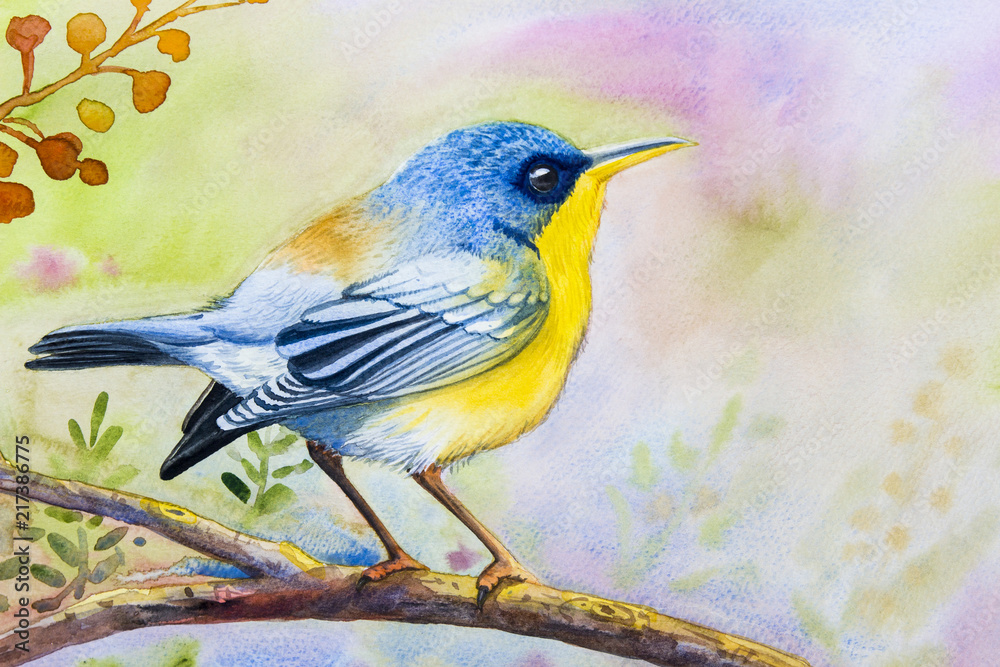 Painting colorful of  alone bird on a branch amidst  beautiful