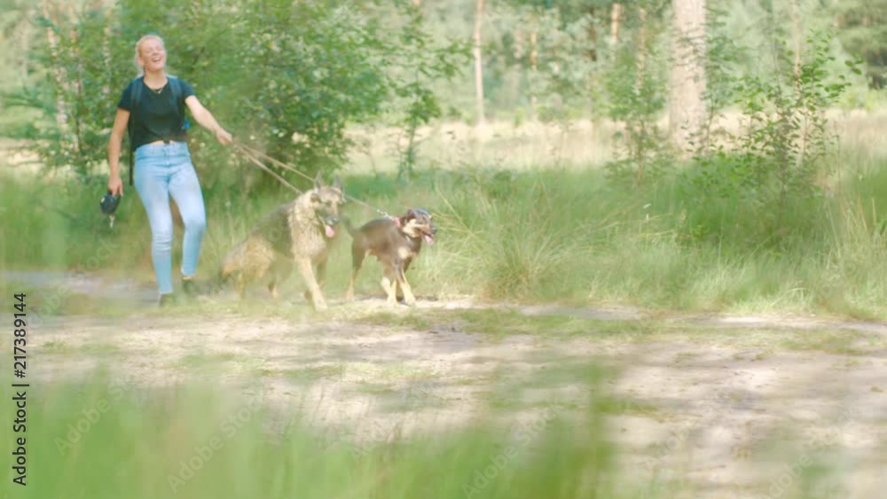 Clip of a girl running with German Shepherd dog and westpointer while keeping the leash. Clip of a girl running with German Shepherd dog and westpointer while keeping the leash.