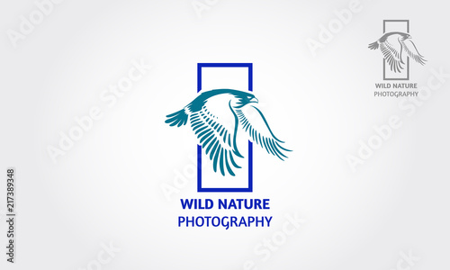 Wild Nature Photography Vector Logo Template. Luxury eagle or hawk flying, photography symbols.