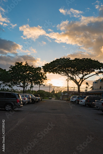 ハレイワ・タウン（Haleiwa Town）