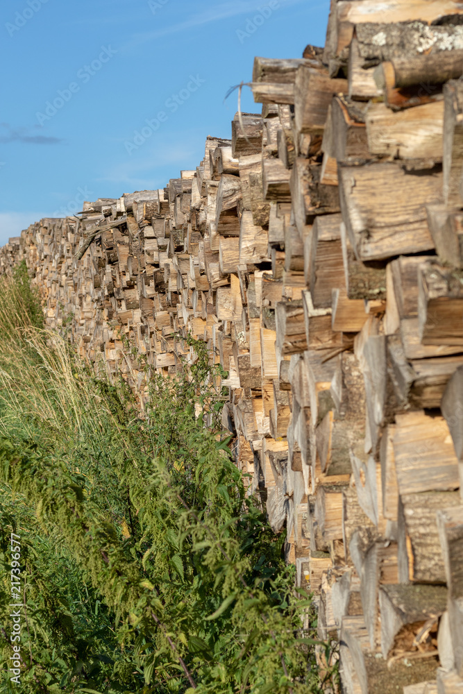 Sveral pieces of stacked cutted fire wood in summer under blue sky