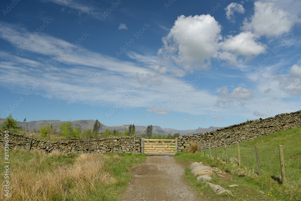 Path over Claife Heights in the Lake District