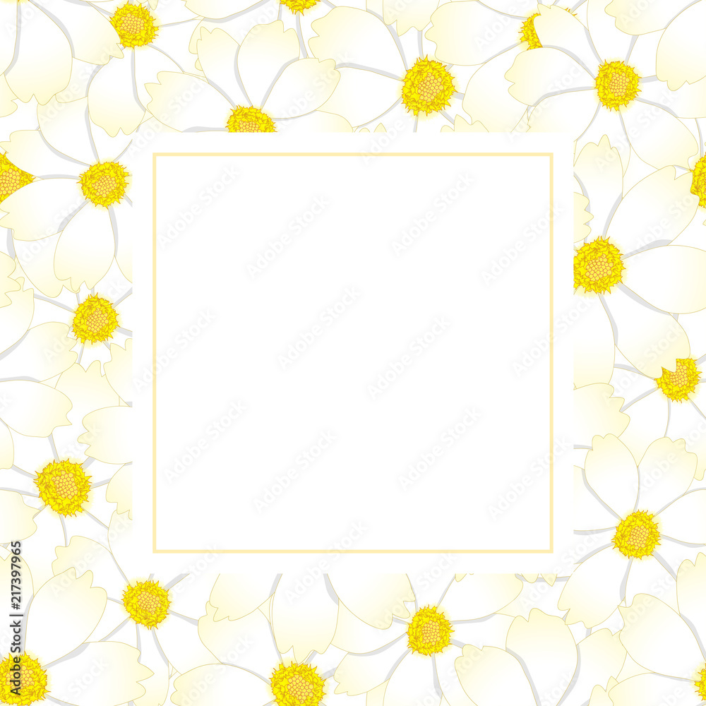White Cosmos Flower Banner Card White Cosmos Flower Banner Card