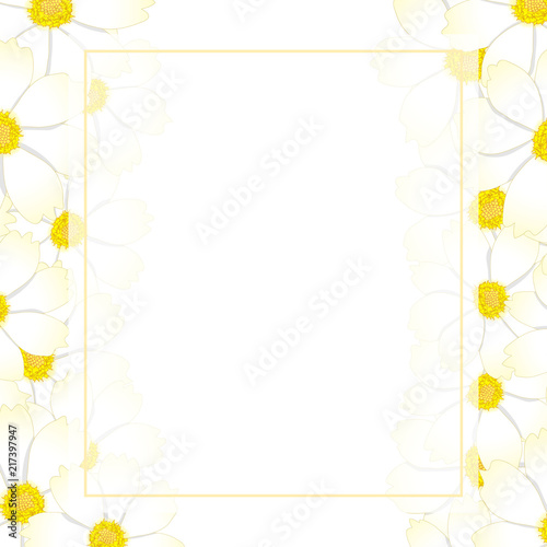 White Cosmos Flower Banner Card Border