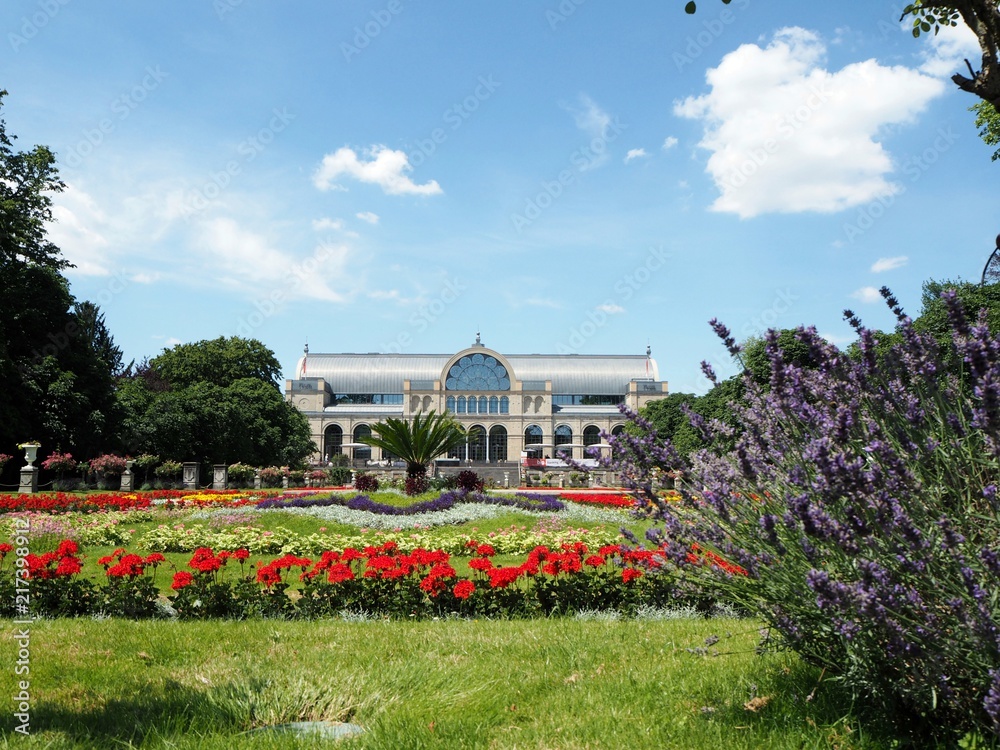Obraz premium Botanical garden Flora in Cologne on a a sunny summer day with coloured flowers and blue sky in the background, a beautiful place for a visit.