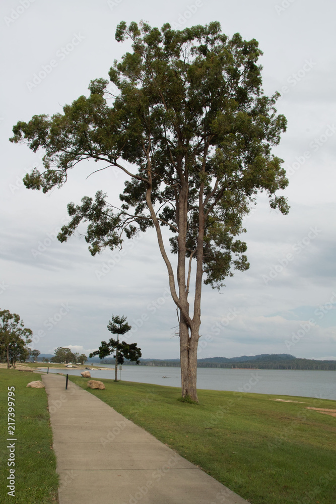Fototapeta premium Australia