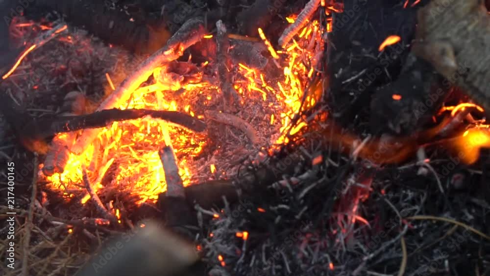 Closeup on fire that made at nature, with blowing on it, SLOW MOTION. Closeup on fire that made at nature, with blowing on it, SLOW MOTION.