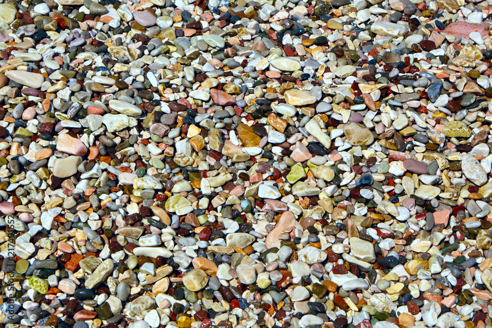 Background of colored wet small pebbles. Close up.