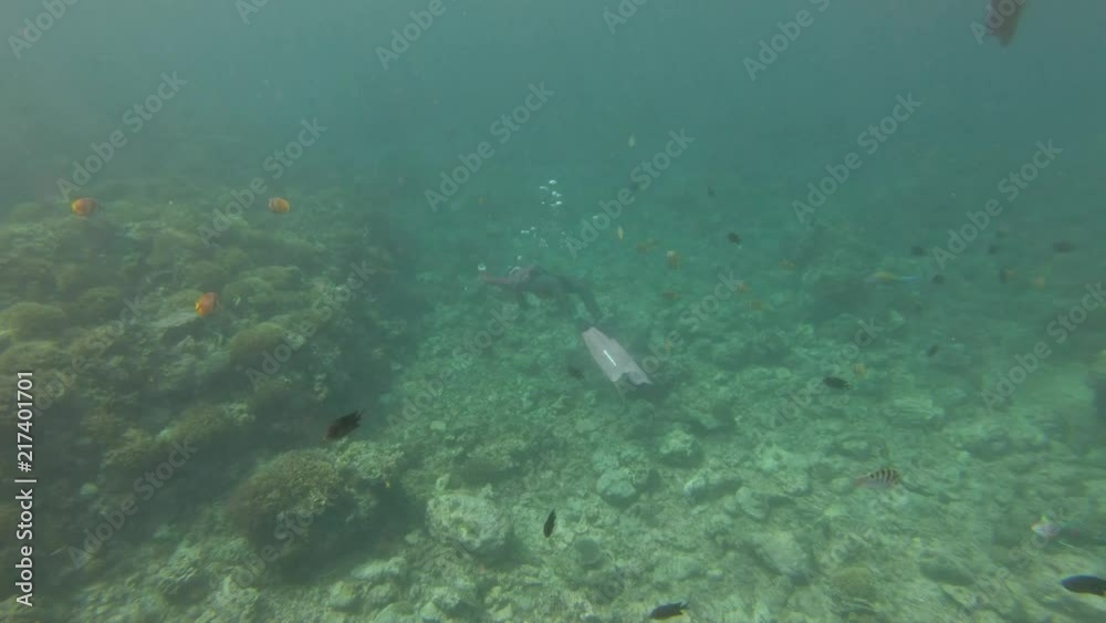 A gorgeous slow motion view of a coral reef in the Philippines as people snorkel and enjoy the view. A gorgeous slow motion view of a coral reef in the Philippines as people snorkel and enjoy the view.