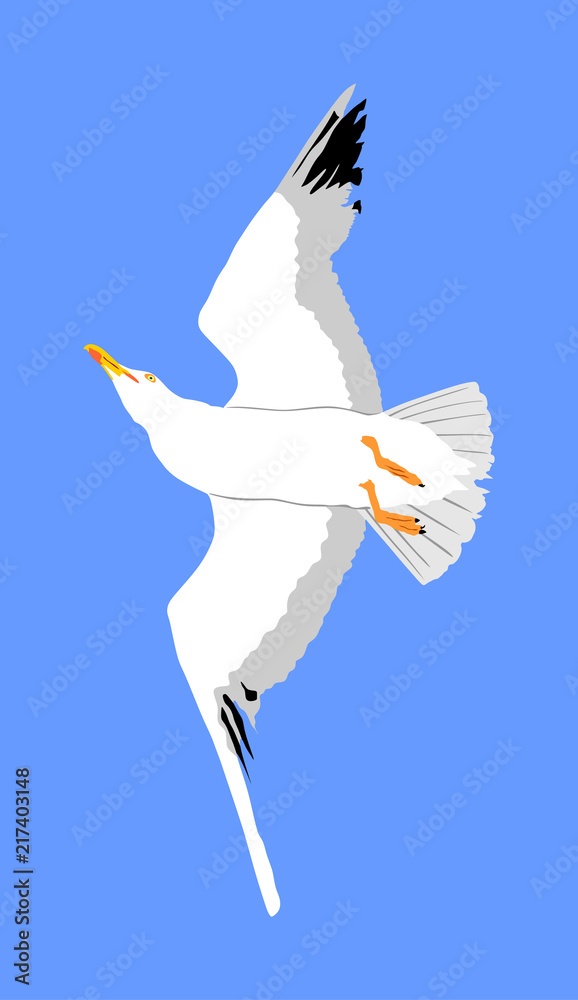 Naklejka premium Seagull fly on blue sky background vector illustration, sea or ocean bird with spread wings. Bird fly silhouette.