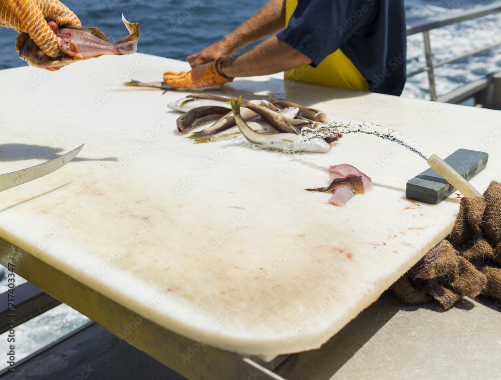 Fisherman wearing gloves cutting fish fillets on cutting board. Stock Photo