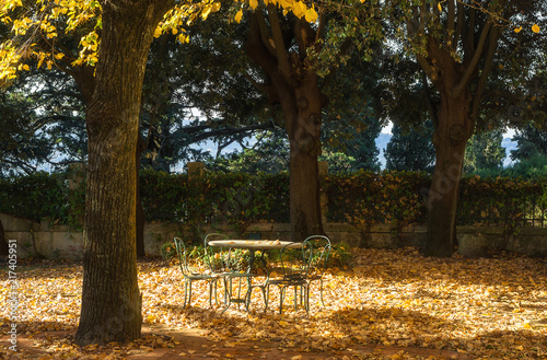 Fototapeta Naklejka Na Ścianę i Meble -  Empty chiars and tables under old trees in autumn season.
