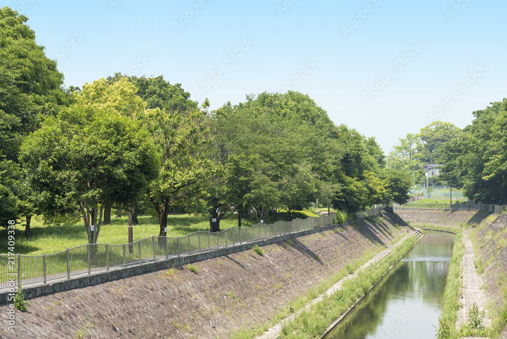Fototapeta premium 神田川の支流の善福寺川（東京都杉並区）