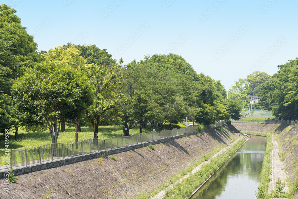 神田川の支流の善福寺川（東京都杉並区）