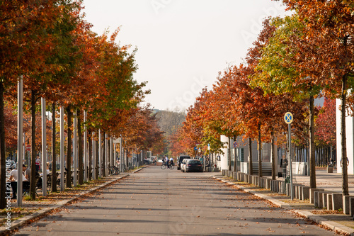 Autumn street in Berlin, Germany