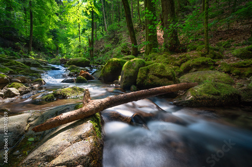 Bach im Schwarzwald photo