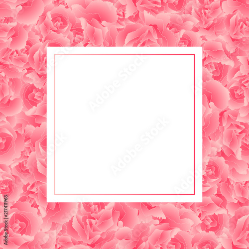 Pink Carnation Flower Banner Card © asamask92