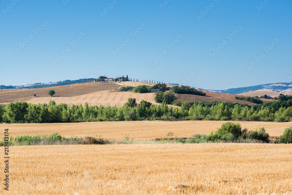 Summer landscape in Tuscany with ancient rural house and fields and trees, Italy, Europe.