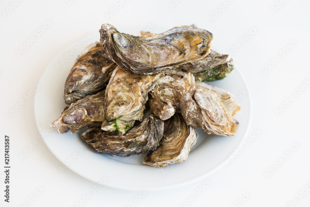 Fresh oysters. Raw fresh oysters on white round plate, image isolated, with soft focus. Restaurant delicacy. Saltwater oysters. Fresh oysters. Raw fresh oysters on white round plate, image isolated, with soft focus. Restaurant delicacy. Saltwater oysters.