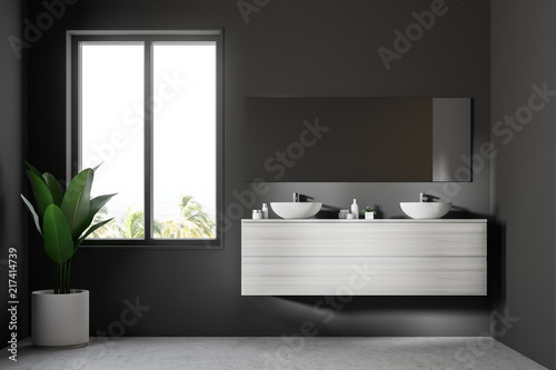 Double sink white wooden shelf  mirror and plant