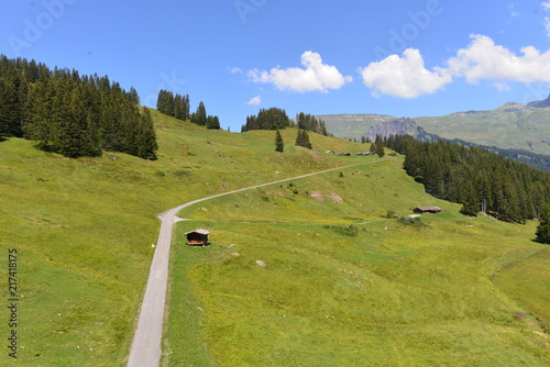 Grindelwald-Holenstein im Berner Oberland  photo