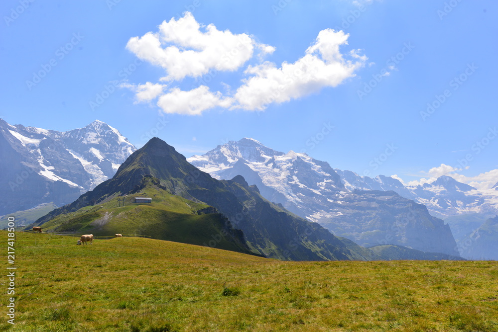 Eiger, Mönch und Jungfrau im Berner Oberland 