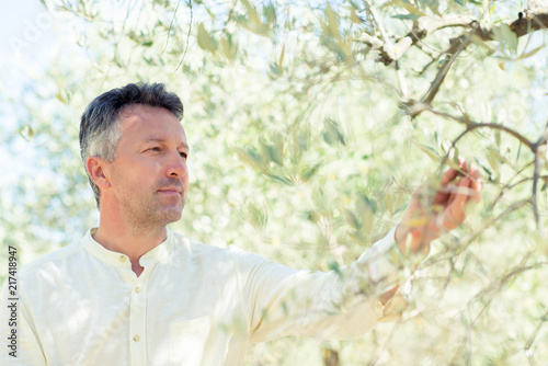 Handsome man posing in olive trees garden. Male portrain over mediterranean olive field ready for harvest. Confident mature man in italian olive's grove with ripe fresh olives. 