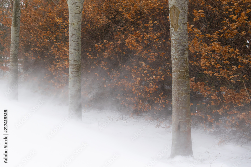 Naklejka premium Snow Blast