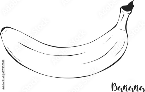Banana. Fruit. Vector.