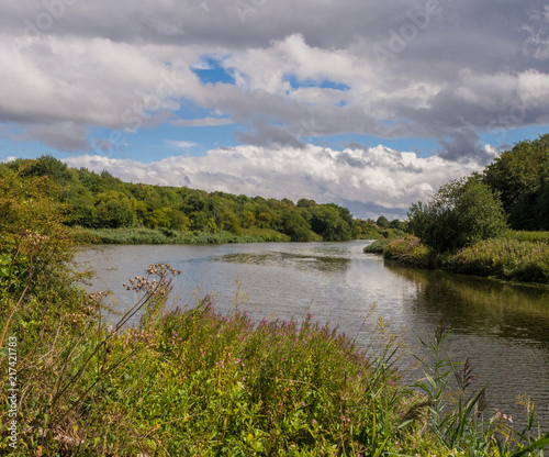 The river weaver at Anderton in summer, Cheshire, UK