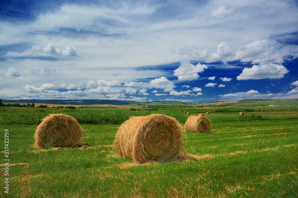 Hay on the field. Hay on the field.
