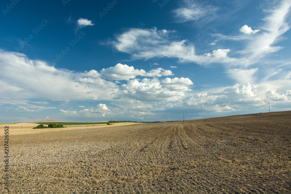 Large plowed field on a hillock, horizon and clouds in the blue sky