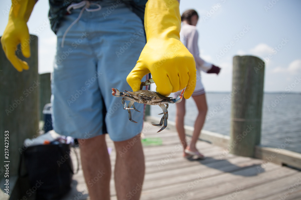 Yellow gloved man holding crab