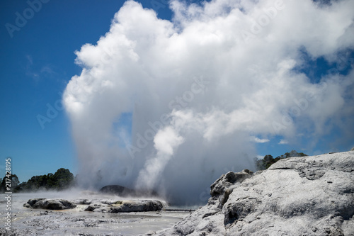 Canvas-taulu Pohutu geyser in New Zealand erupting