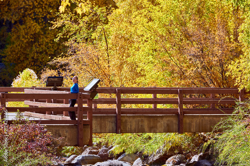Woman on bridge. Autumn trees and river