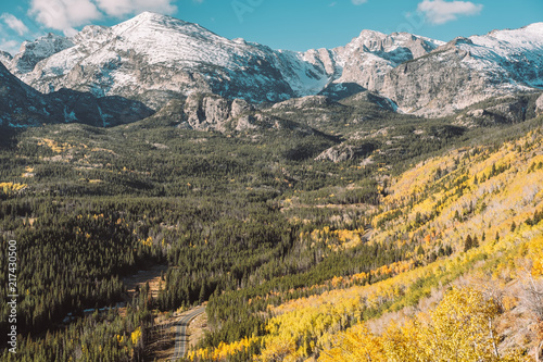 Aspen grove at autumn in Rocky Mountains